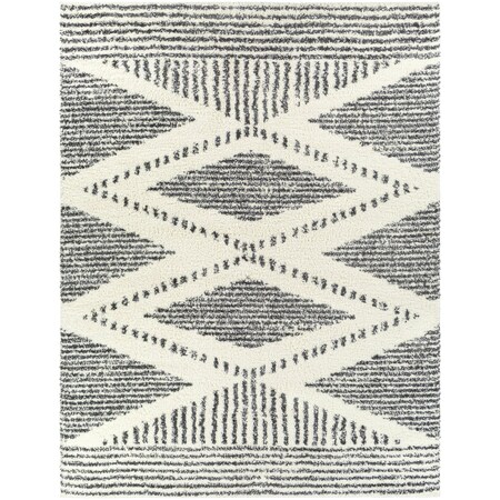 Livabliss Deluxe Shag DXS-2309 Machine Crafted Area Rug DXS2309-710103